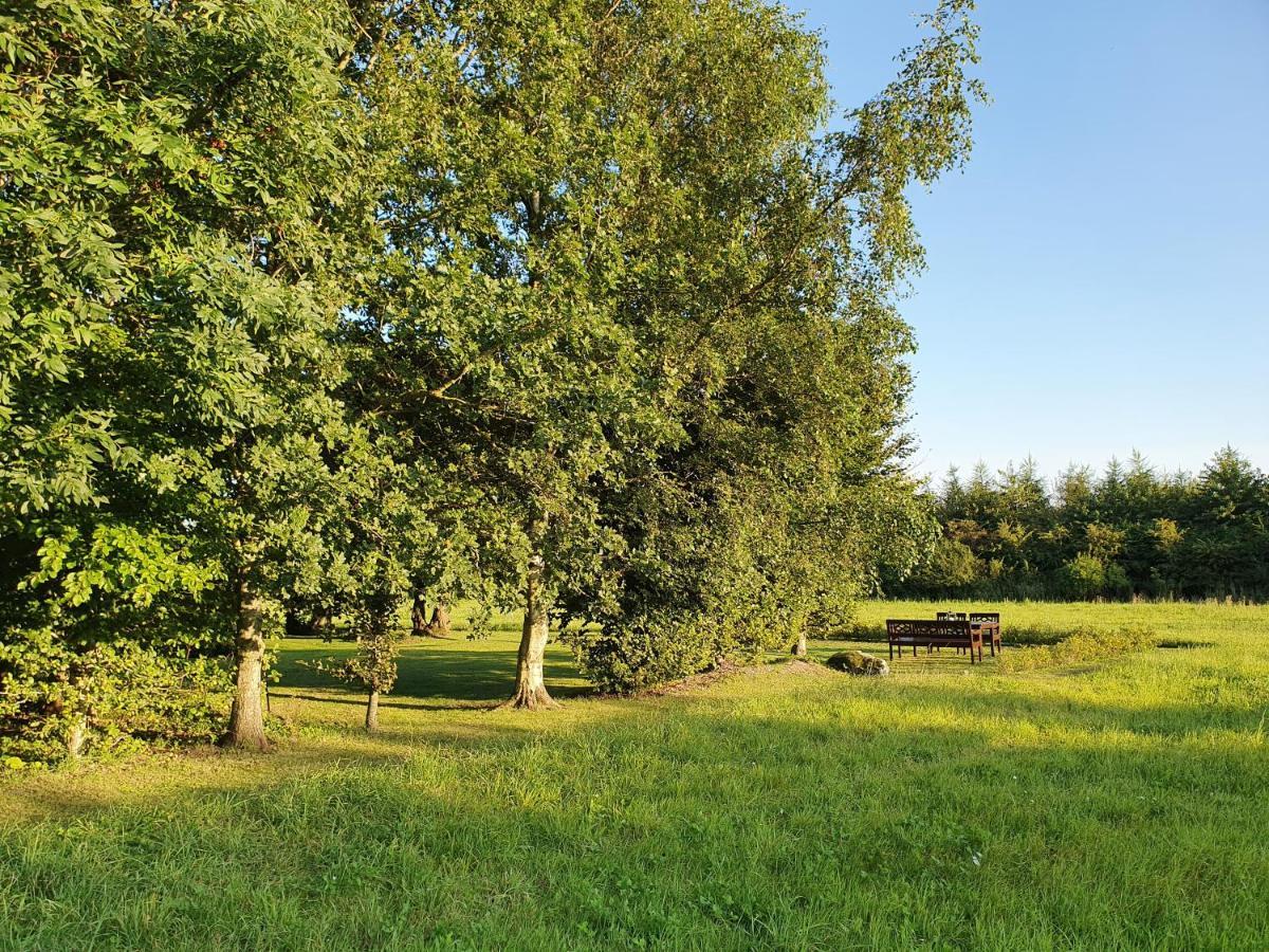 Solbjerg Skov B&B エクステリア 写真