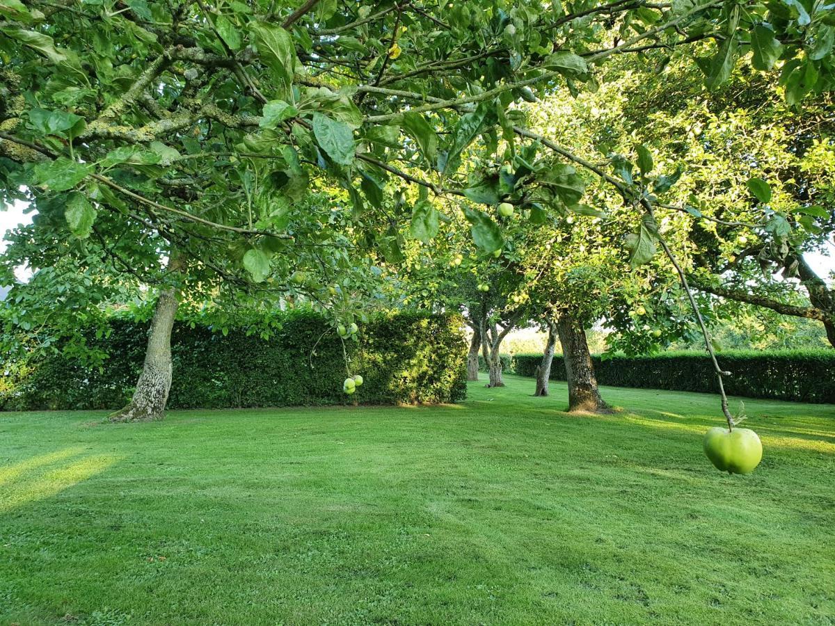 Solbjerg Skov B&B エクステリア 写真